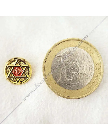 PIN026-mesa-masonic-pins-rer-saint-andre-scottish-rectified-masters-decorations-gifts-fm-shops