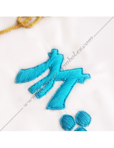 TRF313B-french-groussier-decorations-symbols-lodges-workshops-masonic-aprons-master-fm-rite-lodges-accessories