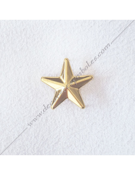 ACC037-stars-wings-pin-masonic-pin-epinglette-3d-collars-5th-orders-sashes-decorations-gcg-chapters-fm