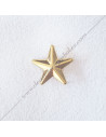 ACC037-stars-wings-pin-masonic-pin-epinglette-3d-collars-5th-orders-sashes-decorations-gcg-chapters-fm