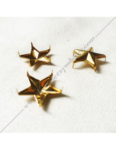 ACC037-stars-wings-pin-masonic-pin-epinglette-3d-collars-5th-orders-sashes-decorations-fm-gcg-chapters