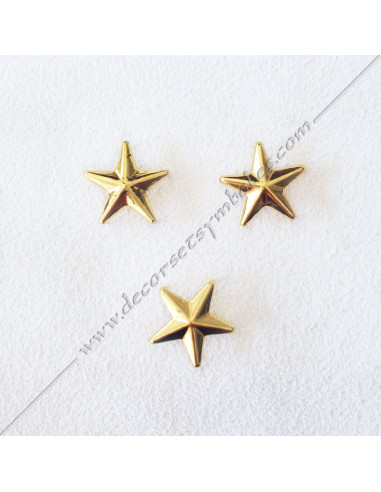 ACC037-stars-wings-pin-masonic-pin-epinglette-3d-collars-5th-orders-sashes-decorations-gcg-fm-chapters